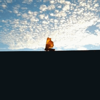 Sloth (USA-2) : Just Call Me the Mothy of the Morning Mothy. Just Call Me the Mothy of the Moth